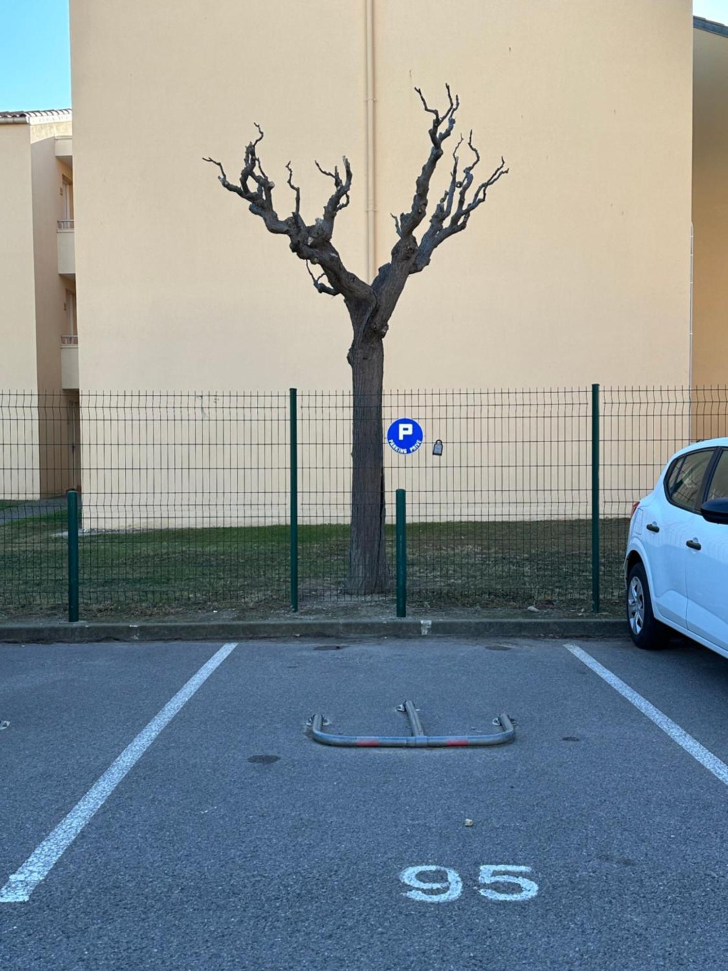 T2 Rdc A Canet En Roussillon Europa 4 Pers ,Piscine,Clim, Tennis, Parking Kültér fotó